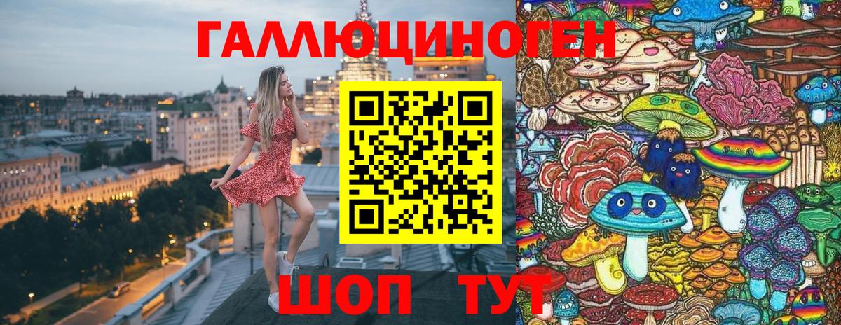Галлюциногенные грибы GOLDEN TEACHER  Вход с VPN  где найти наркотики  Ипатово 