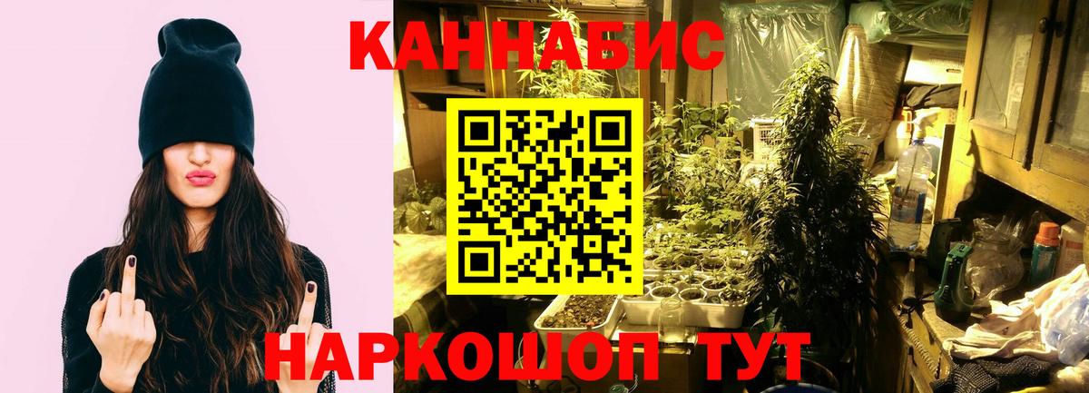 Бошки Шишки планчик  Бошки Шишки LSD WEED  Каннабис Bruce Banner  Ипатово  Вход с VPN 